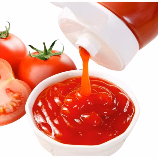 340g Plastic Tomato Ketchup/ Puree