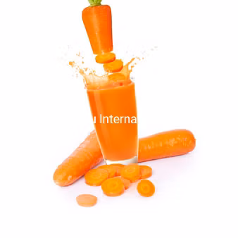 Carrot Juice Concentrate with High Quality